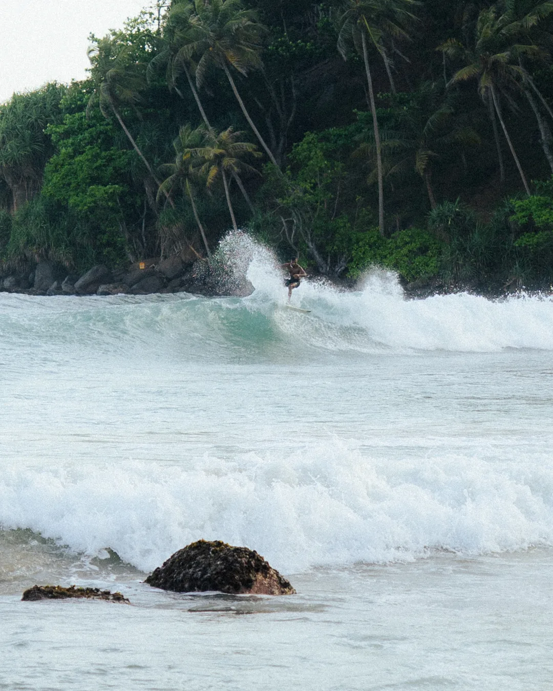 The coastline at Mirissa, southern Sri Lanka
